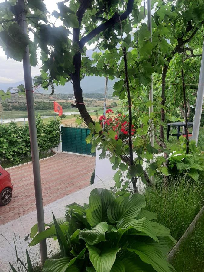Superpanorama Guesthouse Kukes エクステリア 写真