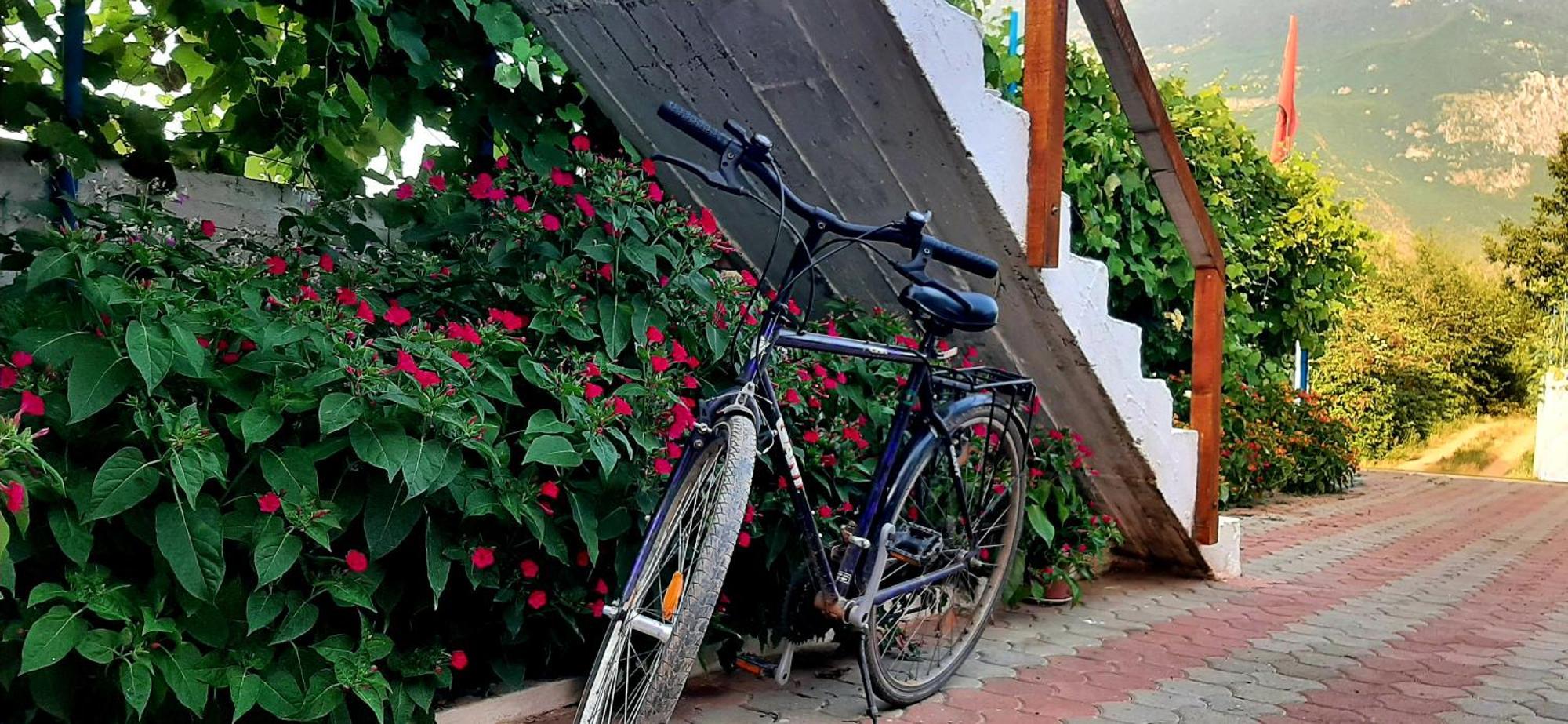 Superpanorama Guesthouse Kukes エクステリア 写真