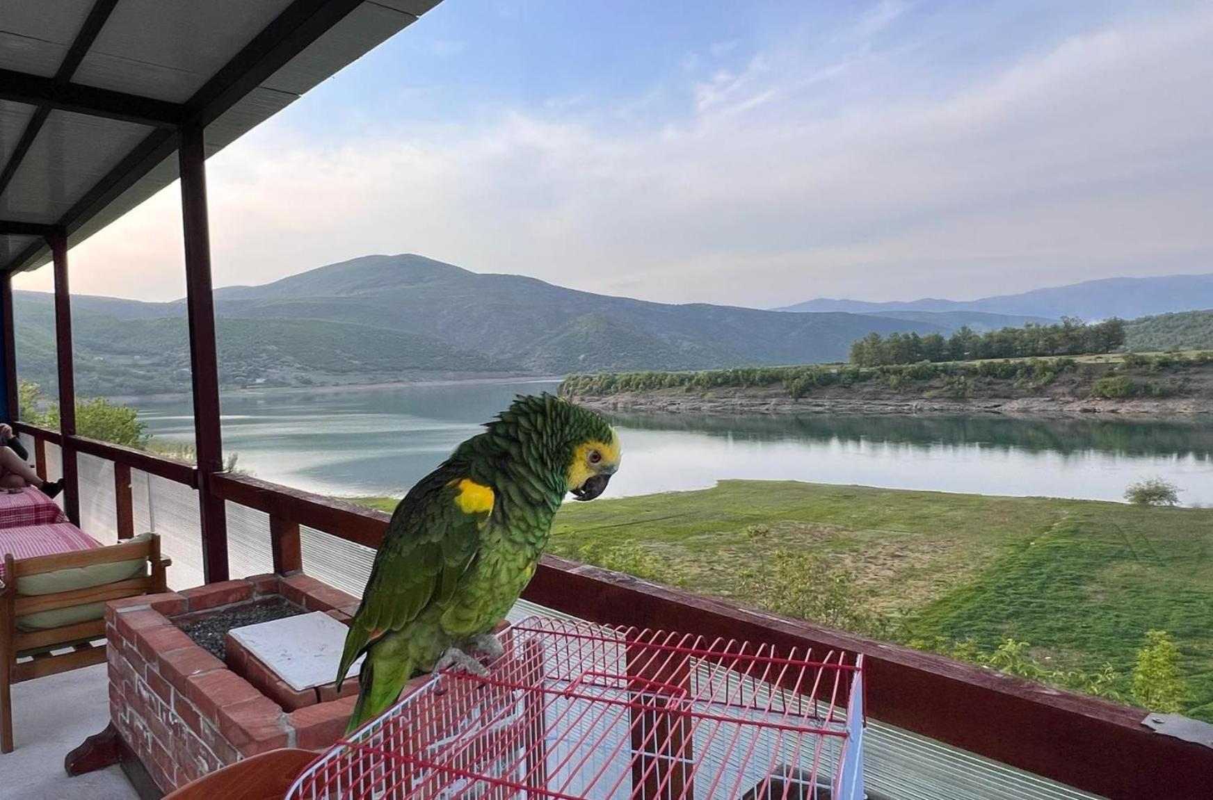 Superpanorama Guesthouse Kukes エクステリア 写真