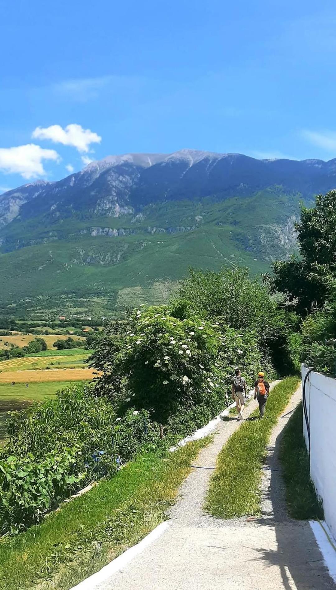 Superpanorama Guesthouse Kukes エクステリア 写真