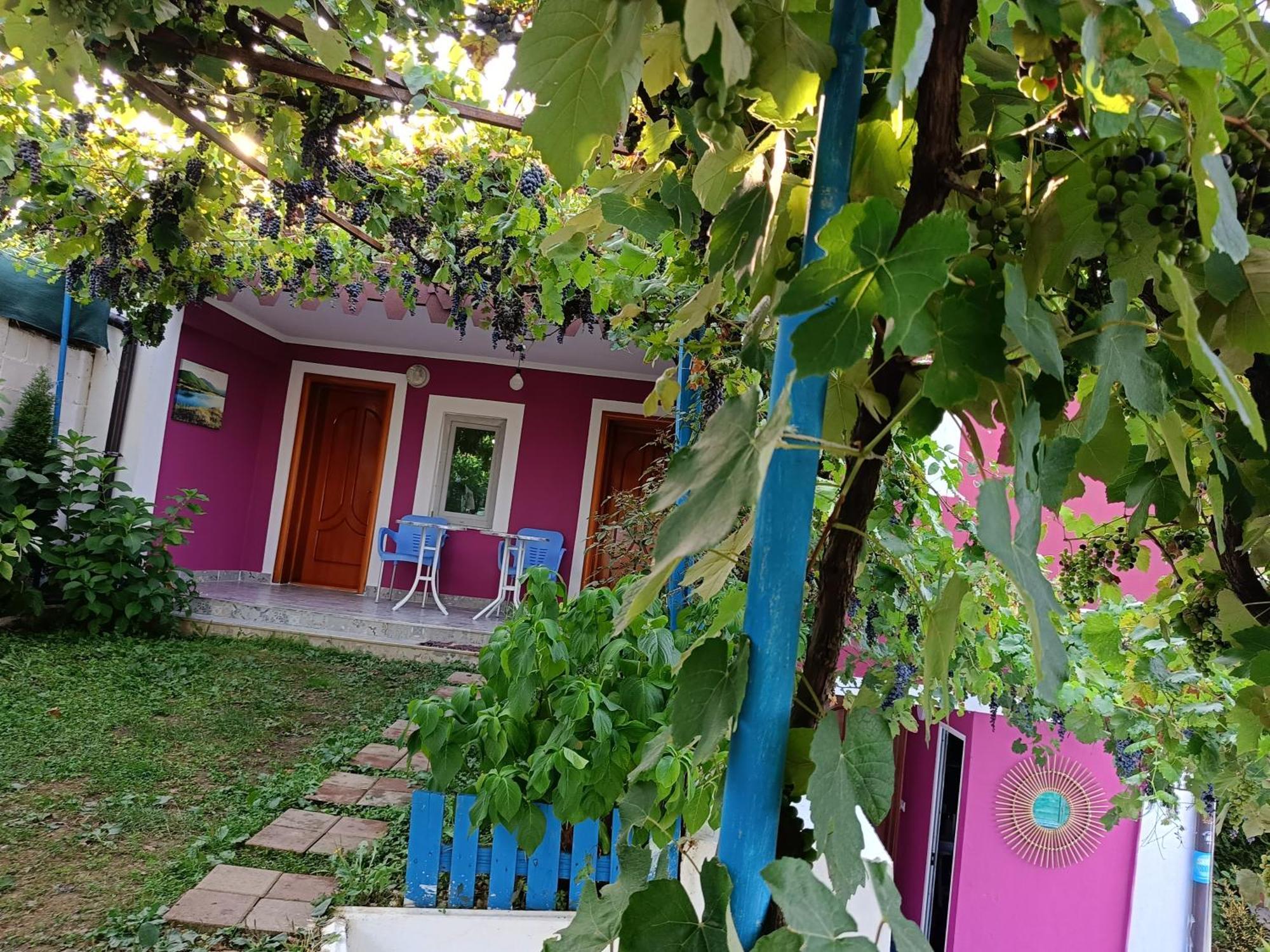 Superpanorama Guesthouse Kukes エクステリア 写真